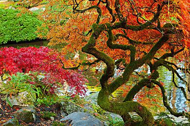 苹果商店国区惊现《艾尔登法环》山寨版 吃相真难看