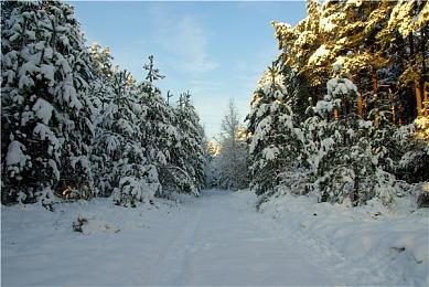 CDPR不断招人 《巫师4》《赛博朋克2》开发团队更庞大